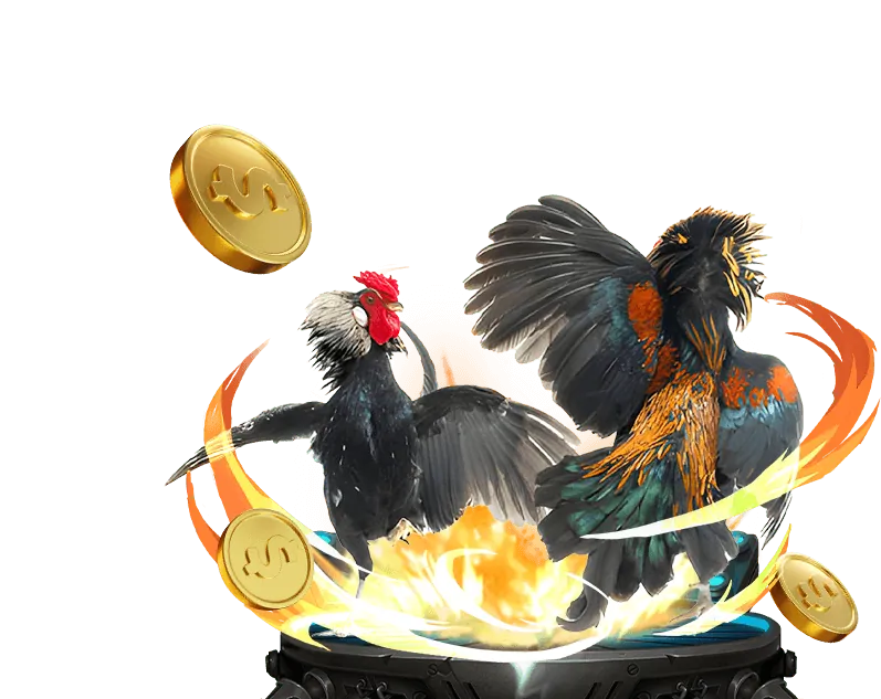 Tài nguyên toàn diện 789 Bet